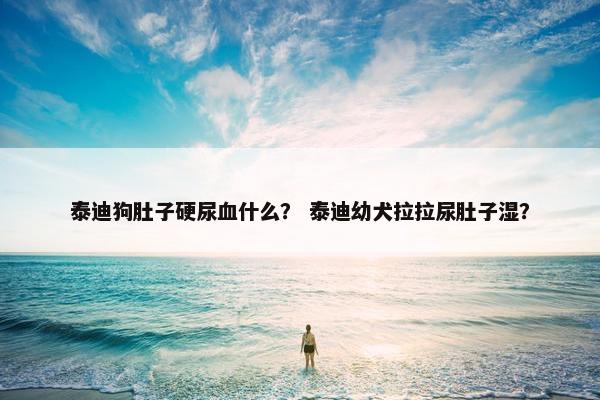 泰迪狗肚子硬尿血什么？ 泰迪幼犬拉拉尿肚子湿？