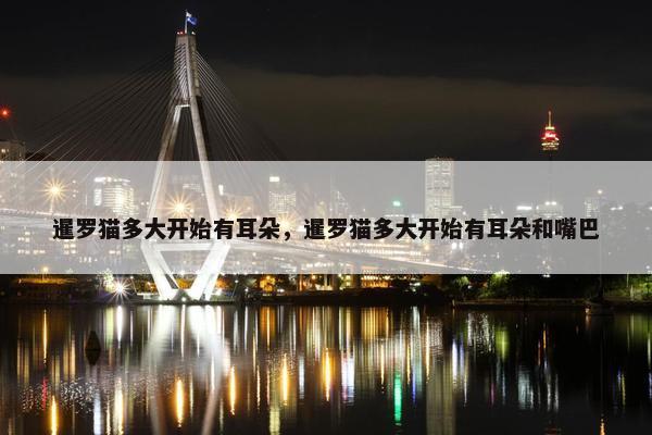 暹罗猫多大开始有耳朵，暹罗猫多大开始有耳朵和嘴巴