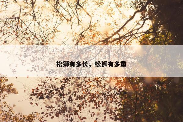 松狮有多长，松狮有多重