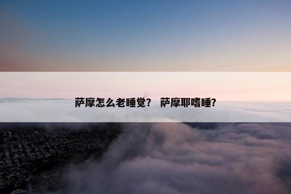 萨摩怎么老睡觉？ 萨摩耶嗜睡？
