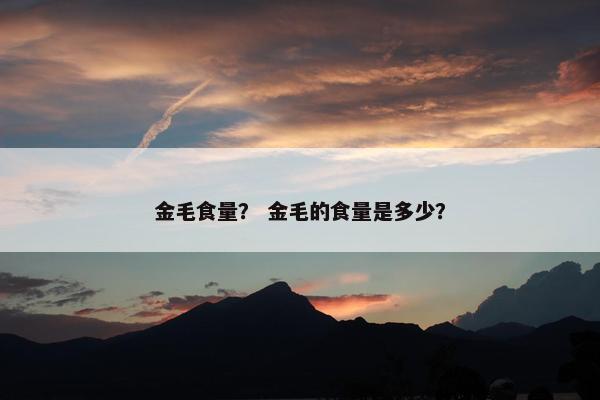 金毛食量？ 金毛的食量是多少？