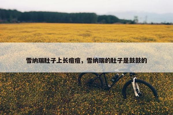 雪纳瑞肚子上长痘痘，雪纳瑞的肚子是鼓鼓的