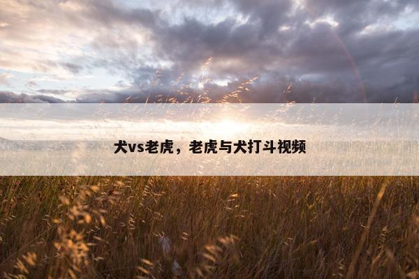 犬vs老虎，老虎与犬打斗视频