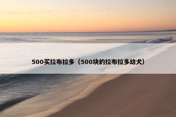 500买拉布拉多（500块的拉布拉多幼犬）