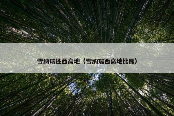 雪纳瑞还西高地（雪纳瑞西高地比熊）