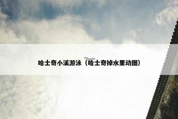 哈士奇小溪游泳（哈士奇掉水里动图）