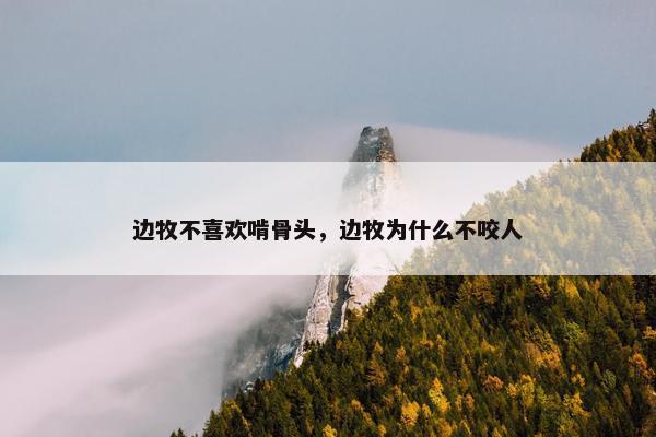 边牧不喜欢啃骨头，边牧为什么不咬人