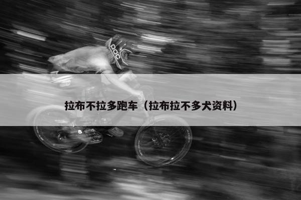拉布不拉多跑车（拉布拉不多犬资料）