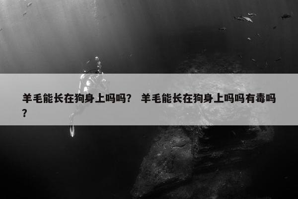 羊毛能长在狗身上吗吗？ 羊毛能长在狗身上吗吗有毒吗？
