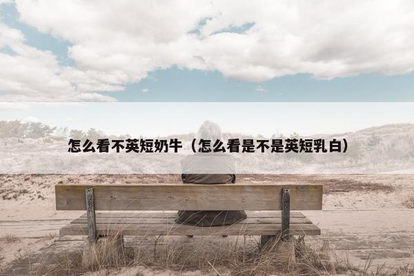 怎么看不英短奶牛（怎么看是不是英短乳白）