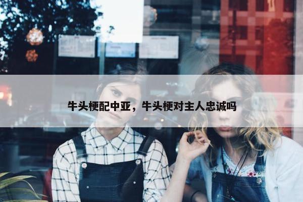 牛头梗配中亚，牛头梗对主人忠诚吗