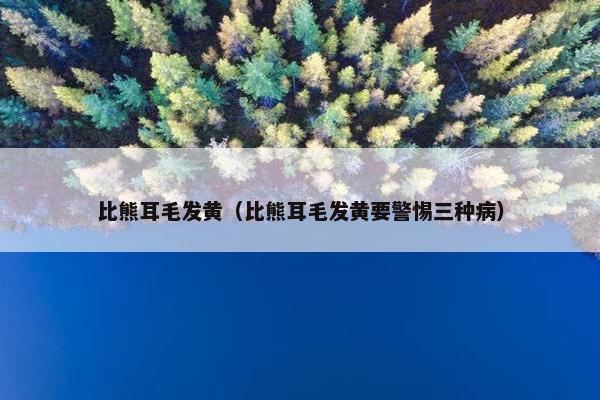 比熊耳毛发黄（比熊耳毛发黄要警惕三种病）