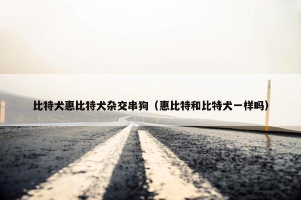 比特犬惠比特犬杂交串狗（惠比特和比特犬一样吗）