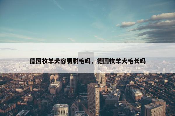 德国牧羊犬容易脱毛吗，德国牧羊犬毛长吗