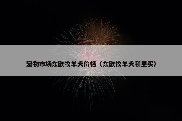 宠物市场东欧牧羊犬价格（东欧牧羊犬哪里买）