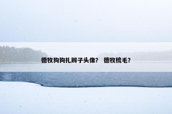 德牧狗狗扎辫子头像？ 德牧梳毛？