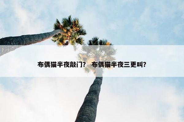 布偶猫半夜敲门？ 布偶猫半夜三更叫？