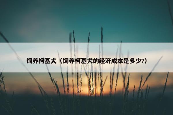 饲养柯基犬（饲养柯基犬的经济成本是多少?）