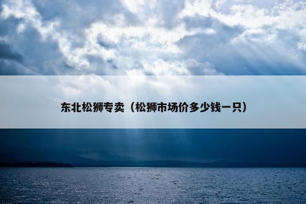 东北松狮专卖（松狮市场价多少钱一只）