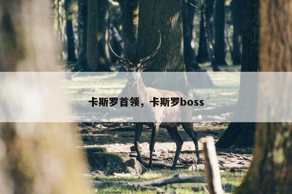 卡斯罗首领，卡斯罗boss