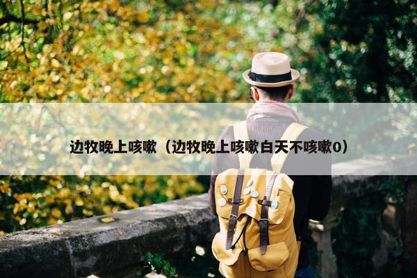 边牧晚上咳嗽（边牧晚上咳嗽白天不咳嗽0）