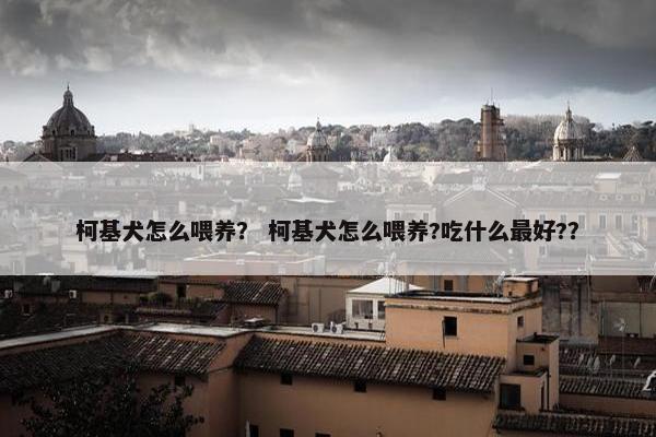 柯基犬怎么喂养？ 柯基犬怎么喂养?吃什么最好?？