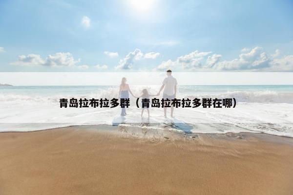 青岛拉布拉多群（青岛拉布拉多群在哪）