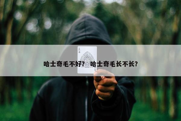 哈士奇毛不好？ 哈士奇毛长不长？