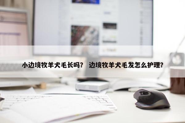 小边境牧羊犬毛长吗？ 边境牧羊犬毛发怎么护理？