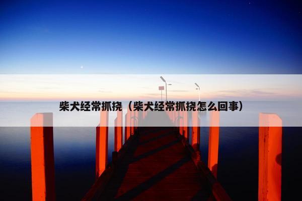 柴犬经常抓挠（柴犬经常抓挠怎么回事）