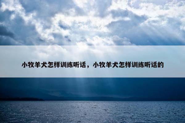 小牧羊犬怎样训练听话，小牧羊犬怎样训练听话的