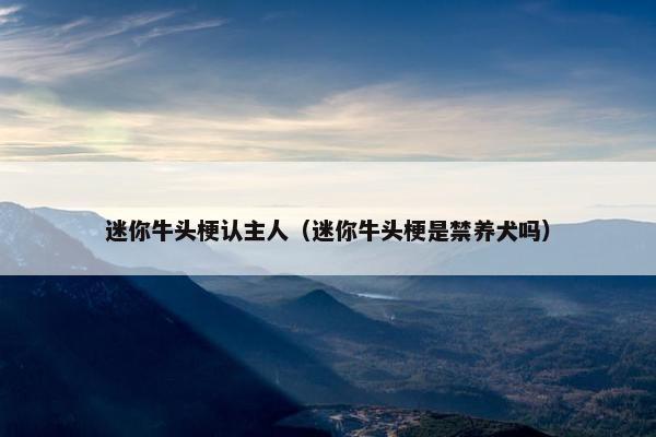 迷你牛头梗认主人（迷你牛头梗是禁养犬吗）