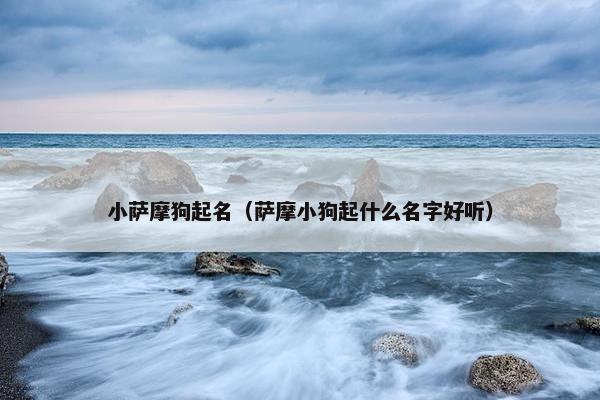 小萨摩狗起名（萨摩小狗起什么名字好听）