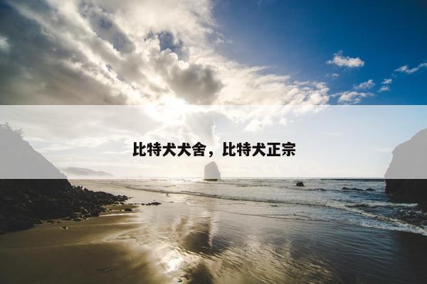 比特犬犬舍，比特犬正宗