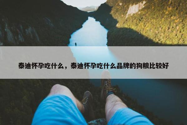 泰迪怀孕吃什么，泰迪怀孕吃什么品牌的狗粮比较好
