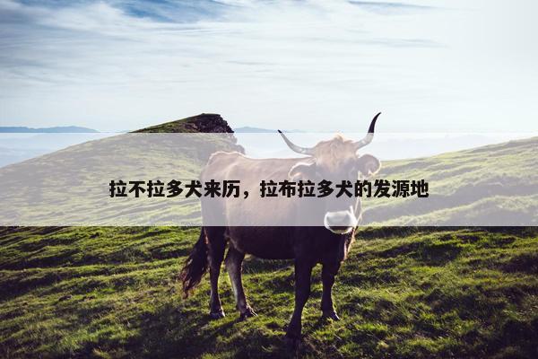 拉不拉多犬来历，拉布拉多犬的发源地