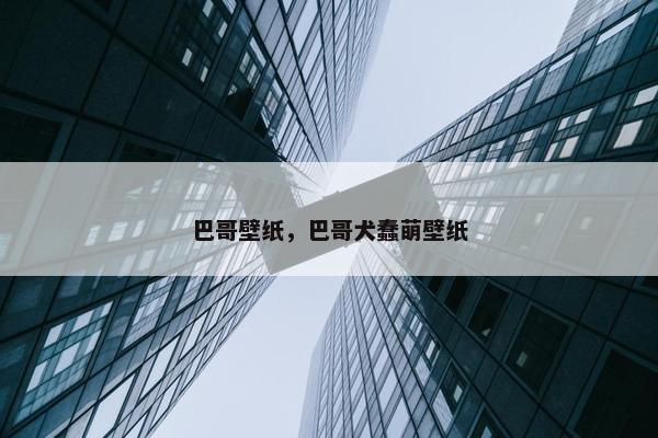 巴哥壁纸，巴哥犬蠢萌壁纸