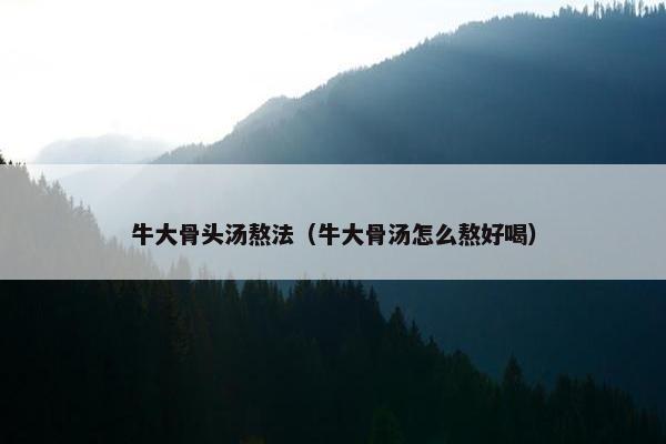 牛大骨头汤熬法（牛大骨汤怎么熬好喝）