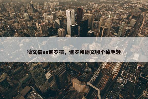 德文猫vs暹罗猫，暹罗和德文哪个掉毛轻