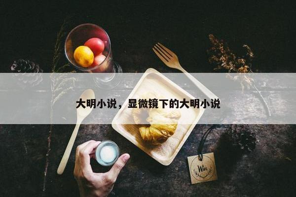 大明小说，显微镜下的大明小说