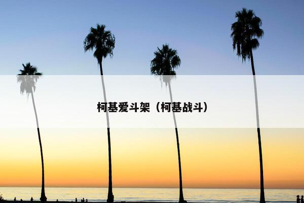 柯基爱斗架（柯基战斗）