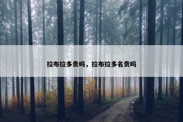 拉布拉多贵吗，拉布拉多名贵吗