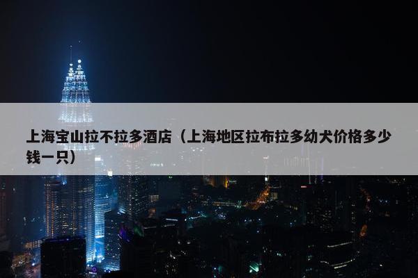上海宝山拉不拉多酒店（上海地区拉布拉多幼犬价格多少钱一只）