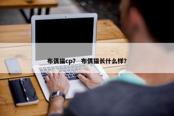 布偶猫cp？ 布偶猫长什么样？