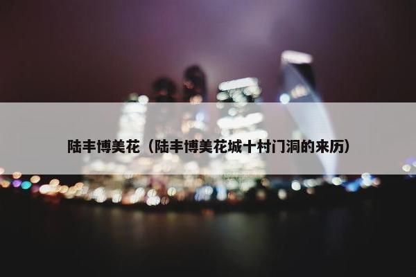 陆丰博美花（陆丰博美花城十村门洞的来历）