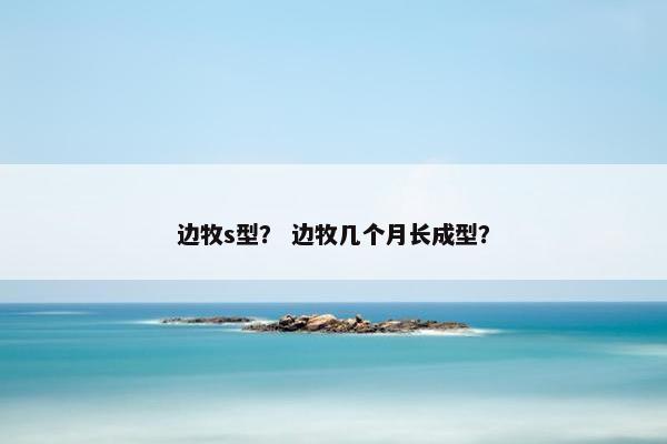 边牧s型？ 边牧几个月长成型？