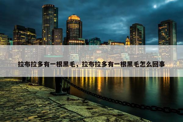 拉布拉多有一根黑毛，拉布拉多有一根黑毛怎么回事