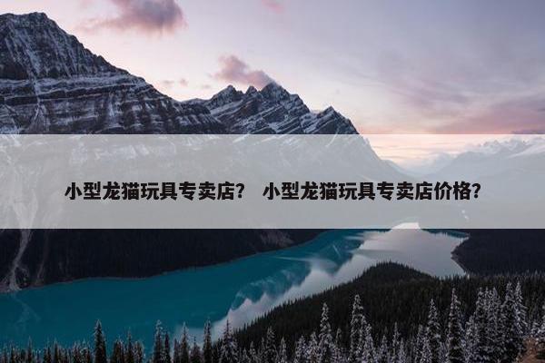 小型龙猫玩具专卖店？ 小型龙猫玩具专卖店价格？