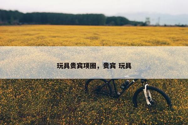 玩具贵宾项圈，贵宾 玩具