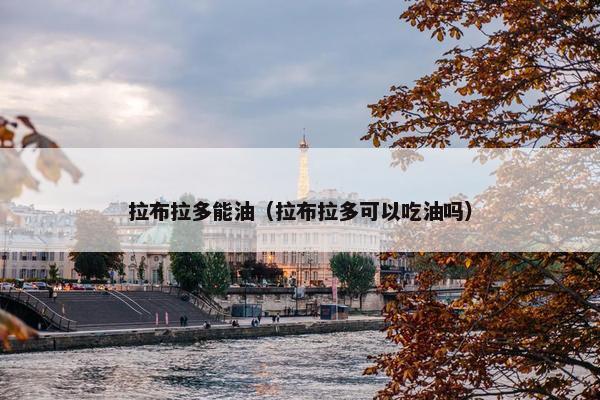 拉布拉多能油（拉布拉多可以吃油吗）